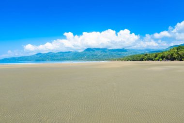 Marino Ballena Milli Parkı plaj ve tropikal orman içinde Punta Uvita, Kosta Rika ile.