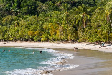 Tropikal plaj içinde Manuel Antonio Milli Parkı, Costa Rica.