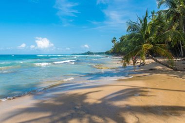Playa Chiquita - vahşi beach yakın Puerto Viejo, Kosta Rika.