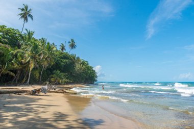 Playa Chiquita - vahşi beach yakın Puerto Viejo, Kosta Rika.