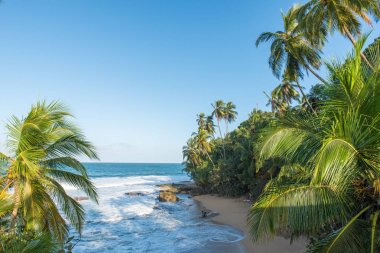 Vahşi Karayipler beach, Manzanillo, Puerto Viejo, Kosta Rika