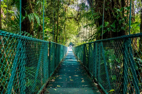 Wiszący Most Cloudforest Kostaryka — Zdjęcie stockowe