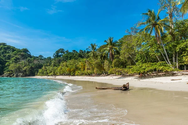 Tropikalnej Plaży Manuel Antonio National Park Costa Rica — Zdjęcie stockowe