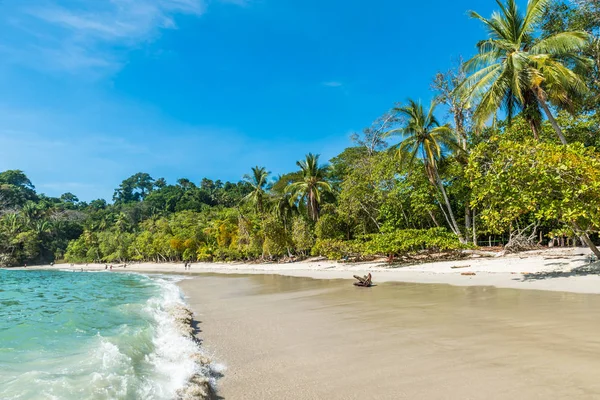 Tropikalnej Plaży Manuel Antonio National Park Costa Rica — Zdjęcie stockowe