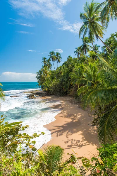 Wild Caribische Strand Van Manzanillo Bij Puerto Viejo Costa Rica — Stockfoto