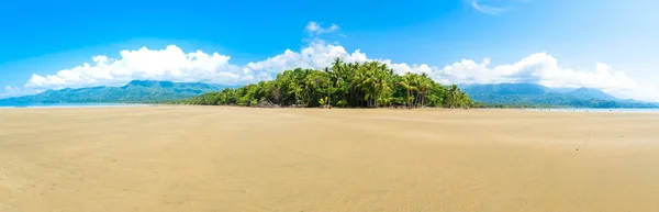 Marino Ballena National Park Beach Tropical Forest Punta Uvita Costa — Stock Photo, Image