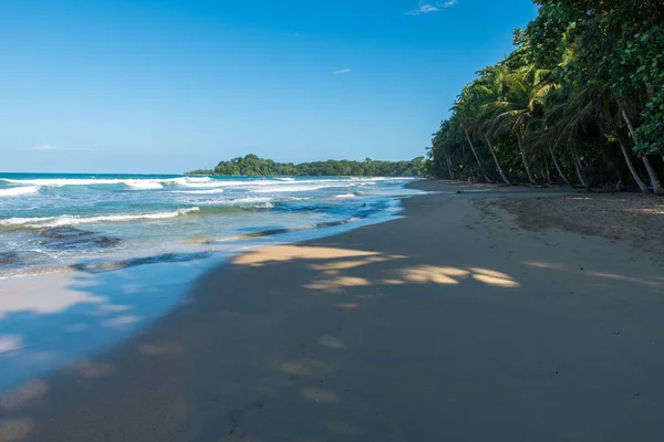 Пунта Uva Пляж Коста Ріці Дикими Карибського Узбережжя — стокове фото