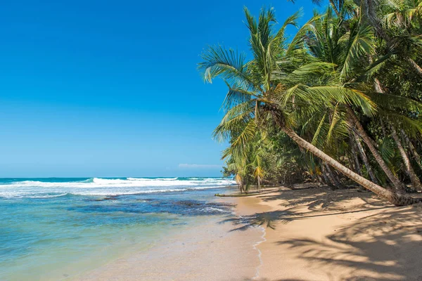 Paradise Wild Beach Manzanillo Park Costa Rica — Stock Photo, Image