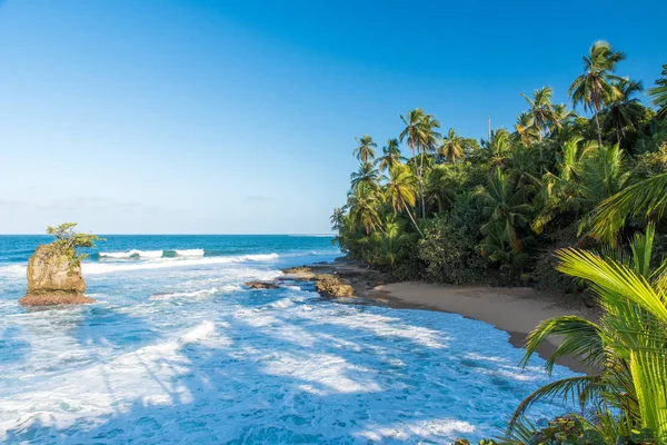 Wild Caribische Strand Van Manzanillo Bij Puerto Viejo Costa Rica — Stockfoto