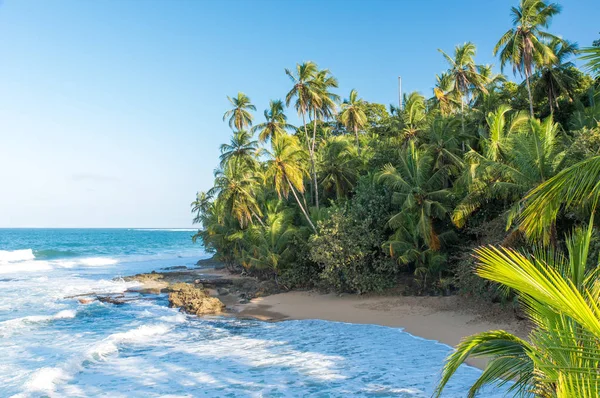 Dzikie Karaiby Plaża Manzanillo Puerto Viejo Costa Rica — Zdjęcie stockowe