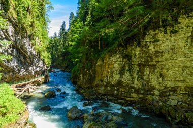 Breitachklamm - Gorge with river in South of Germany. clipart