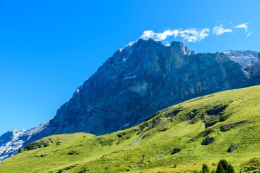 Dağ manzarası Grindelwald ve Jungfrau, İsviçre.