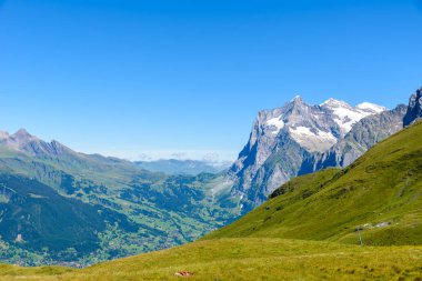 Dağ manzarası Grindelwald ve Jungfrau, İsviçre.