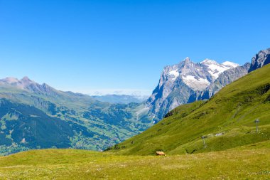 Dağ manzarası Grindelwald ve Jungfrau, İsviçre.