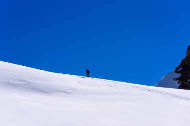 İsviçre - Aletsch Buzulu dağlarında buzul üzerinde buz tırmanışı
