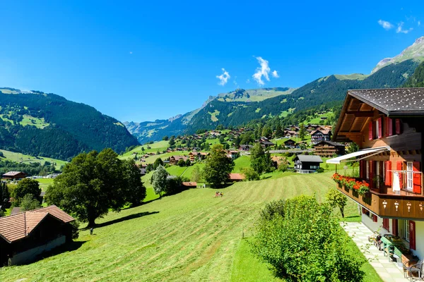 Grindelwald Dorf Berglandschaft Schweiz — Stockfoto