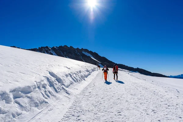 Grupo Caminhantes Sobre Colina Nevada — Fotografia de Stock