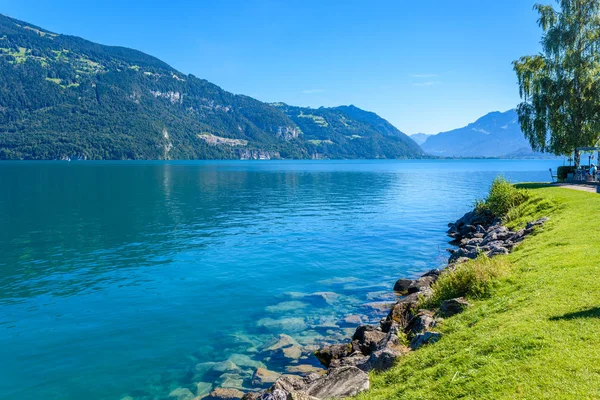 Thuner Lago Thun Com Vista Panorâmica Para Paisagem Montanhosa Suíça — Fotografia de Stock