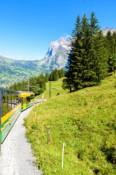 Διάσημο Τρένο Μεταξύ Σιδηροδρομικό Σταθμό Grindelwald Και Βερναίο Σιδηροδρόμων Στην — Φωτογραφία Αρχείου