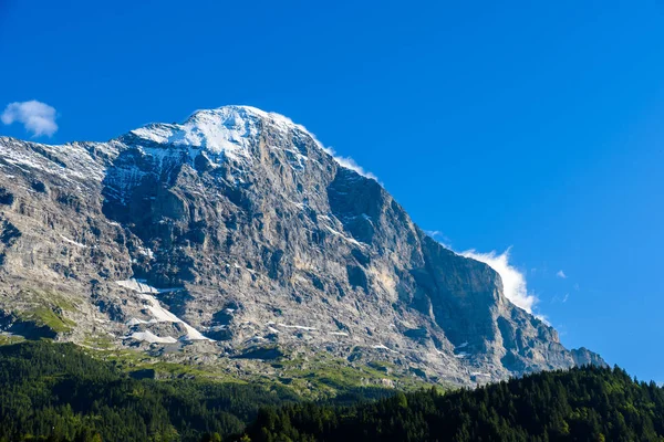 Eiger kuzey duvarı - Eiger için görünümden Grindelwald İsviçre Alpleri'nde Bernese.