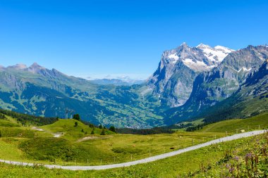 Dağ manzarası Grindelwald ve Jungfrau, İsviçre.