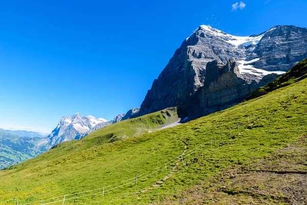 Paysages Montagne Grindelwald Jungfrau Suisse — Photo