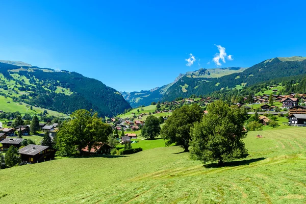 Grindelwald Dorf Berglandschaft Schweiz — Stockfoto