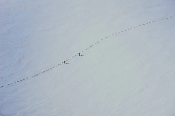 Escalada Gelo Geleira Nas Montanhas Suíça Geleira Aletsch — Fotografia de Stock