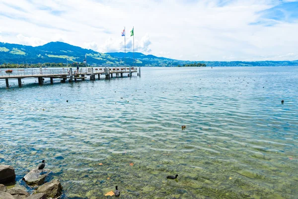 Lake Zuerich Sviçre Seyahat Hedef Avrupa City Rapperswil — Stok fotoğraf