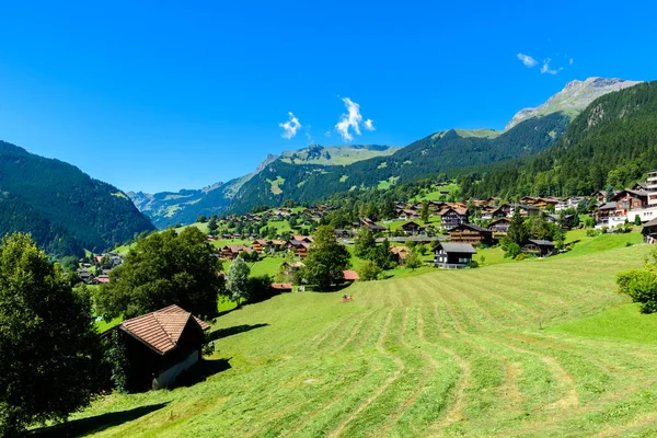 Grindelwald Községben Hegyi Táj Svájc — Stock Fotó