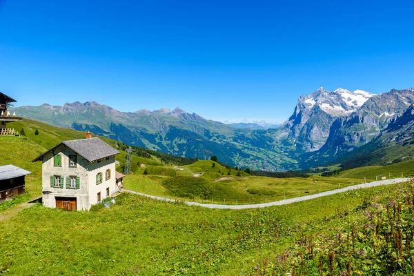 グリンデルワルトとユングフラウ スイスの家で山の風景 ロイヤリティフリーのストック写真