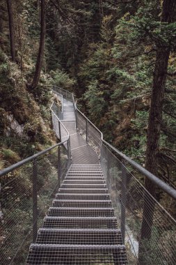 Leutaschklamm - Almanya Alpleri'nde Nehri ile vahşi gorge