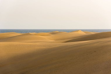 Çöl kumulları Gran Canaria, İspanya ile