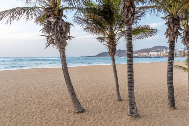 Playa de Las Canteras - Las Palmas de Gran Canaria Plajı