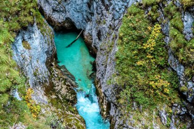 Leutaschklamm - Almanya Alpleri'nde Nehri ile vahşi gorge