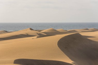 Çöl kumulları Gran Canaria, İspanya ile