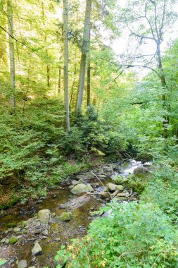 Wutach Gorge nehir ve şelaleler - blackforest, Almanya güzel manzara içinde yürüyüş