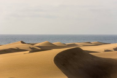 Çöl kumulları Gran Canaria, İspanya ile