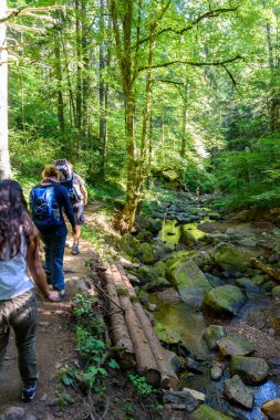 Wutach Gorge nehir ve şelaleler - blackforest, Almanya güzel manzara içinde yürüyüş