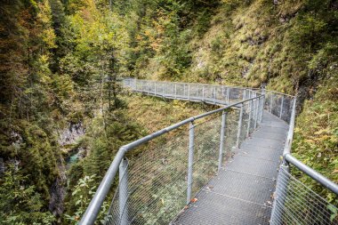 Leutaschklamm - Almanya Alpleri'nde Nehri ile vahşi gorge