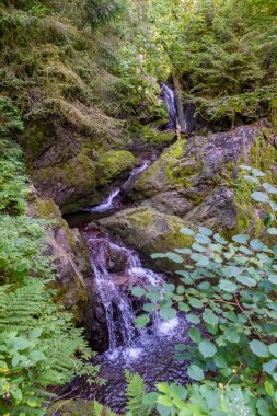 Wutach Gorge nehir ve şelaleler - blackforest, Almanya güzel manzara içinde yürüyüş