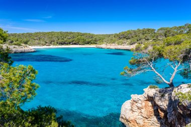 Güzel plaj, Cala S'Amarador Mondrago - Tabiat Parkı üzerinde Majorca İspanya, Balear Adaları, Akdeniz, Avrupa