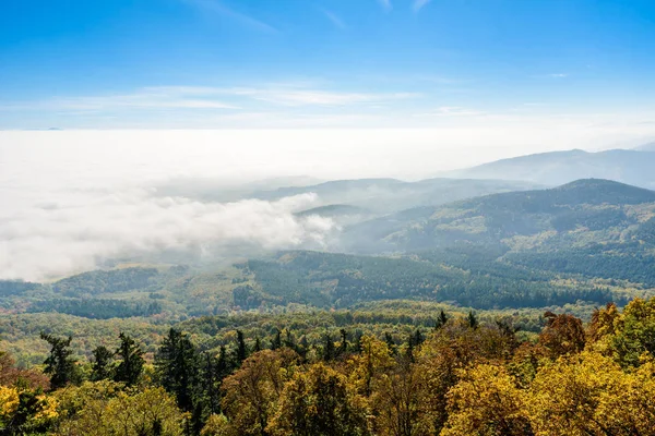 Krajina Krásného Černého Lesa Německo Siluety Kopců Blízko Alsasko Francie — Stock fotografie
