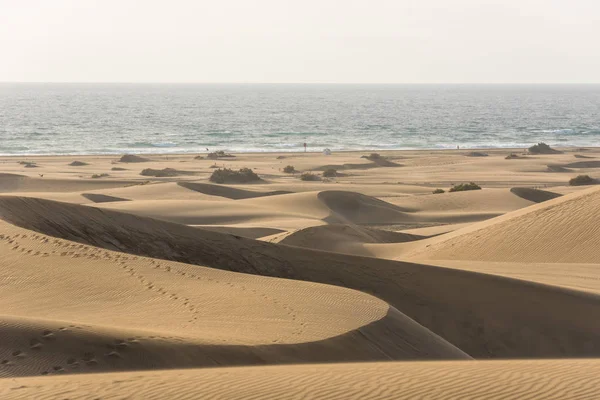 Pustyni Piaszczystymi Wydmami Gran Canaria Hiszpania — Zdjęcie stockowe