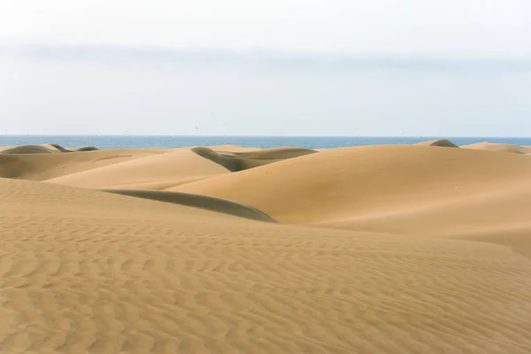 Deserto Con Dune Sabbia Gran Canaria Spagna — Foto Stock