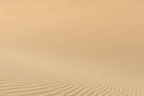 Sivatagban Homokdűnék Gran Canaria Spanyolország — Stock Fotó