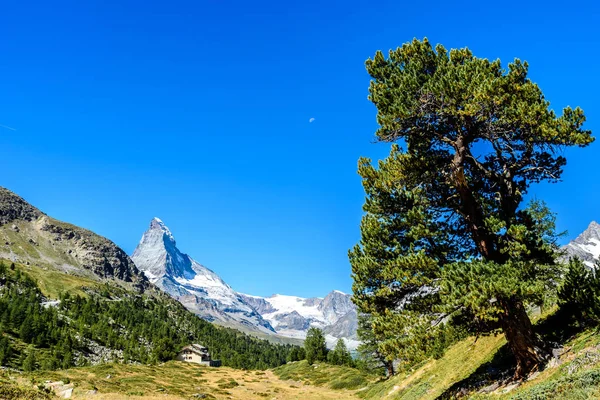 Matterhorn Malá Vesnice Domy Krásné Krajině Zermatt Švýcarsko — Stock fotografie