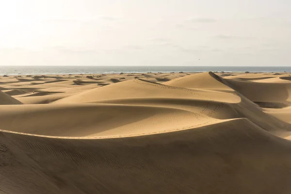 Wüste Mit Sanddünen Auf Gran Canaria Spanien — Stockfoto