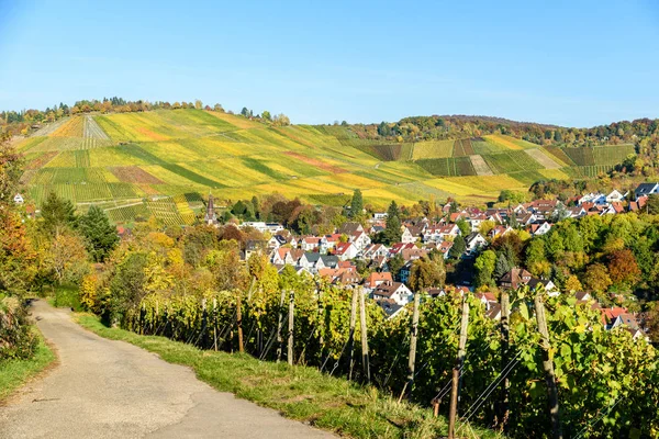 Weinberge Stuttgart Uhlbach Neckar Schöne Herbstlandschaft Deutschland — Stockfoto