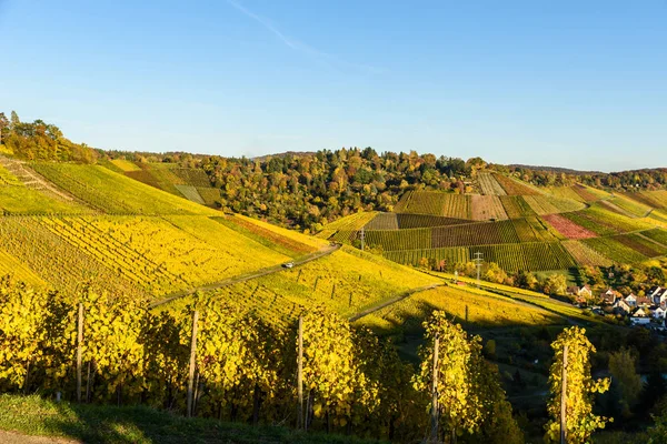 Winnice Stuttgarcie Uhlbach Dolinie Neckar Piękny Krajobraz Autum Niemczech — Zdjęcie stockowe